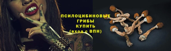 молекула духа Каменногорск