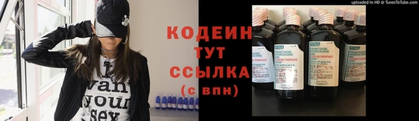 молекула духа Каменка