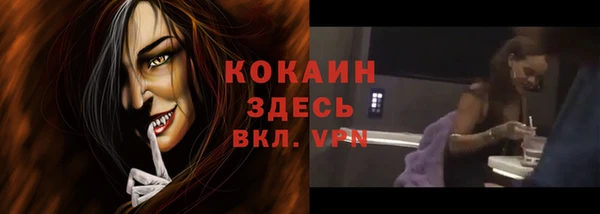 молекула духа Каменка
