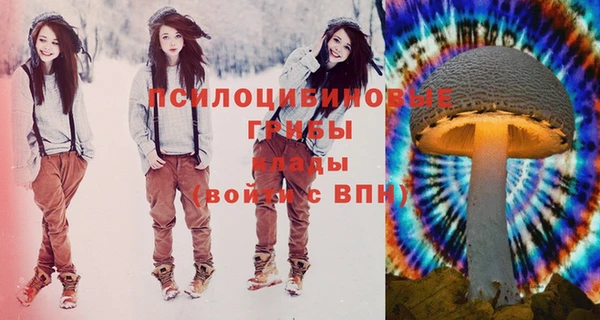 молекула духа Каменногорск