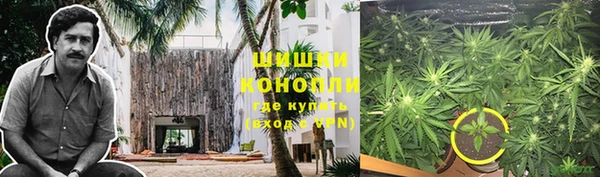 молекула духа Каменка