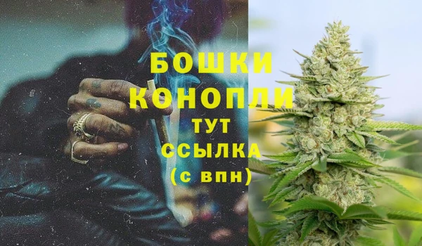 молекула духа Каменногорск