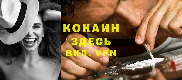 молекула духа Каменногорск